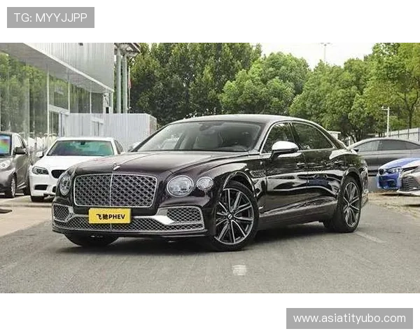 飞驰在线官网全面升级为用户提供更便捷的购车与售后服务体验